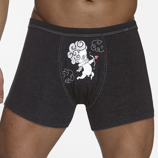 Pnsk boxerky Arrow - Pnsk prdlo, Pnsk prdlo,  Boxerky,  Jednobarevn boxerky