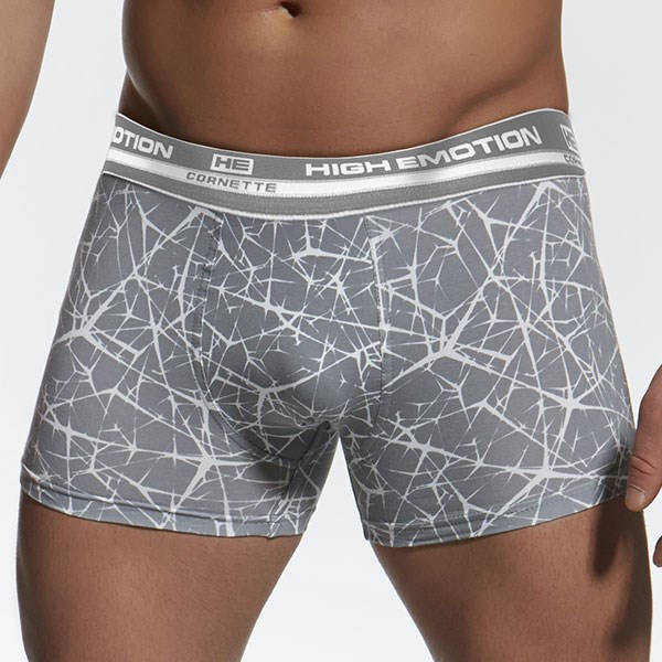 Pnsk boxerky HE 845 - Pnsk prdlo, Pnsk prdlo,  Boxerky,  Vcebarevn boxerky