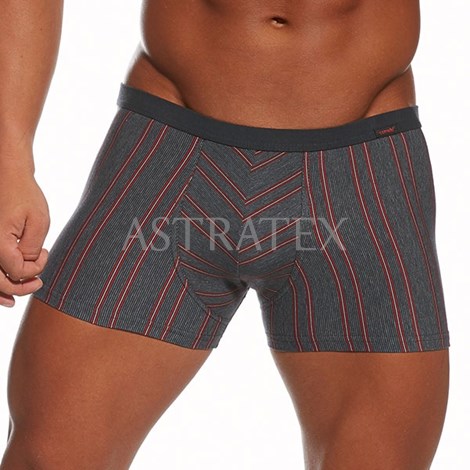 Pnsk boxerky Various 871 - , Pnsk prdlo,  Boxerky,  Vcebarevn boxerky